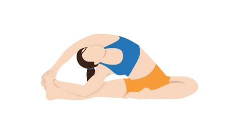 Revolved Head To Knee Pose Parivrtta Janu Sirsasana Gym Geek