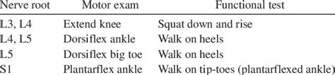 2. Lower extremity motor examination of the spinal nerve roots ...