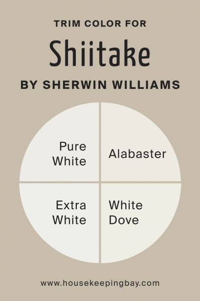 Shiitake SW 9173 Paint Color By Sherwin Williams