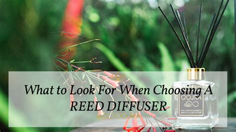 Reed Diffusers How To Choose The Right One Oojra