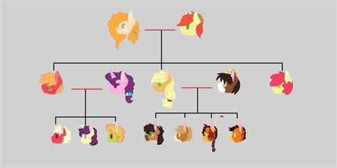 Applejack family tree by HarmonyHarp on DeviantArt