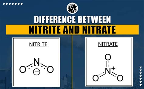 Difference Between Nitrite And Nitrate