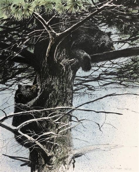 Black Bear Cubs in Tree by Robert Bateman