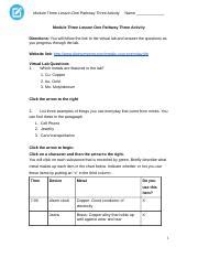 Module Three Lesson One Pathway Three Activity Docx Module Three