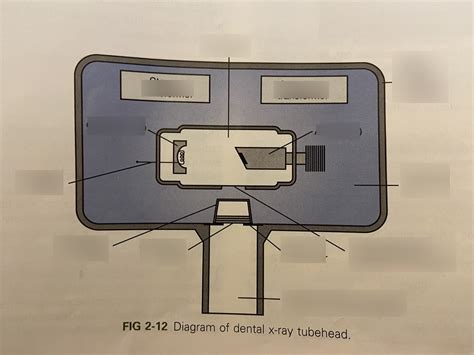 X Ray Tube Head Diagram Quizlet