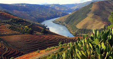 Douro Valley Private Fullday Tour From Porto Getyourguide