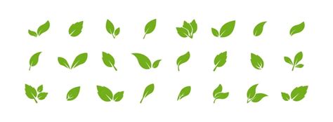 Premium Vector Green Leaf Icon Set Vector Eps