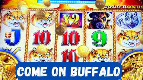 Betting And Hitting Bonuses On Buffalo Gold Cougars Coming In