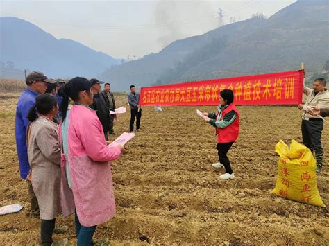 右江区农业农村局：田间地头送技术，农技指导助春耕百色广西壮族自治区农业农村厅