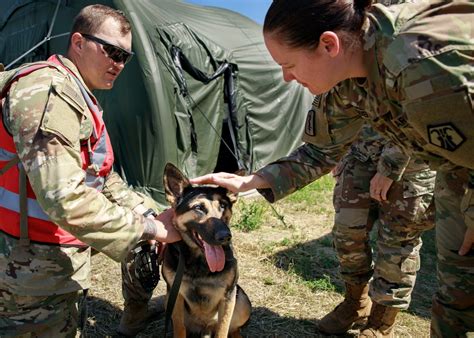 Dvids Images Military Working Dog Takes Flight To Hospex Image 7 Of 8