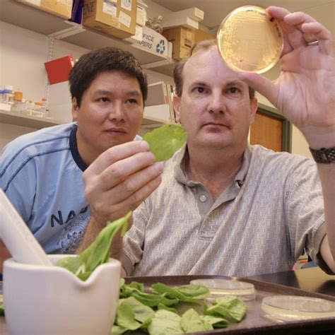 Uf Hopes To Speed Solutions To Citrus Greening Other Crop Diseases With New Centernews