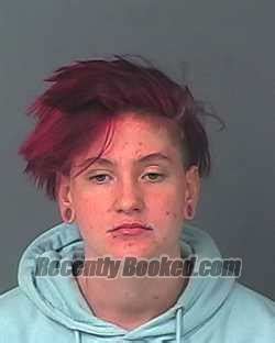 Recent Booking Mugshot For Hailey Lynn Carlton In Hernando County