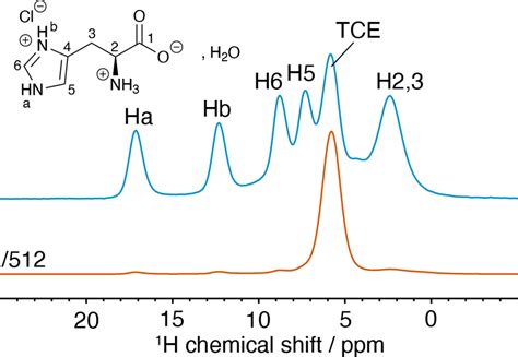 21 2 T 1 H DNP MAS NMR Spectrum Of L HistidineHCl H 2 O Impregnated