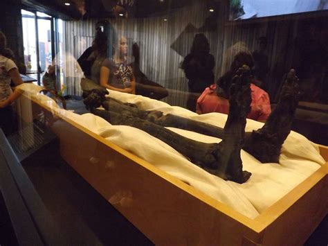 Pearls: Mummies Uncovered -- King Tut Visits Seattle