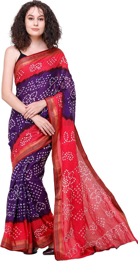 Bandhani Tie Dye Sari From Gujarat With Zari Woven Border Exotic India Art