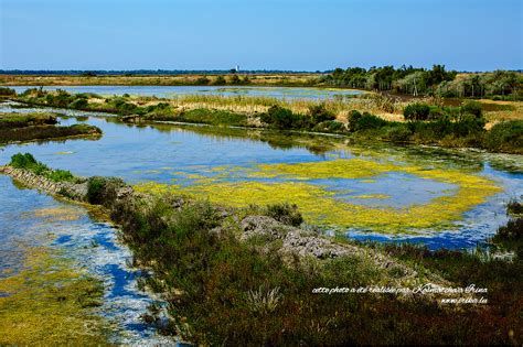 Réserve naturelle de Lilleau des Niges