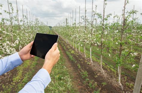 Smart technology will soon be standard in every cheap stove 7