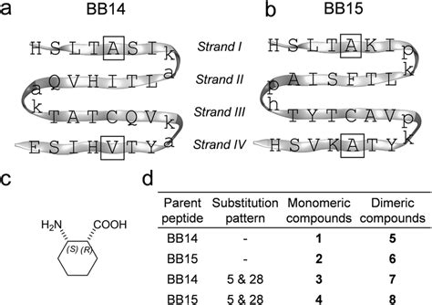 Amino Acid Sequence And Secondary Structure Representation Of Model Download Scientific Diagram