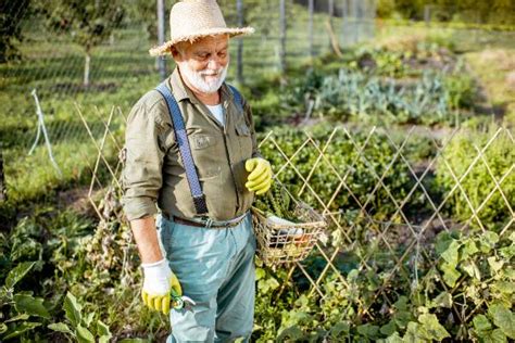 La Rotation Des Cultures Une Pratique Essentielle Pour Un Jardinage