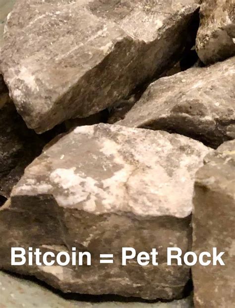 Jamie Dimon Calls Bitcoin A Hyped Up Fraud. Pet Rock | Crowdfund Insider