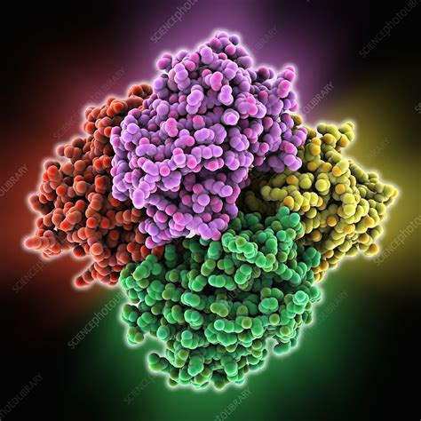 Reversibly Switchable Fluorescent Protein Stock Image C