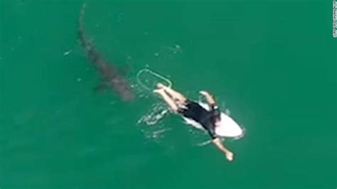 Shark Drone Footage This Australian Surfer Had No Idea How Close He