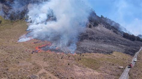 Dampak Kebakaran, Sebagian Wisata Gunung Bromo Ditutup