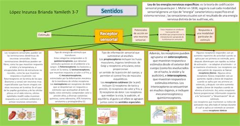 Blog De Fisiologia Basica Uas Ciclo De Brianda L Pez Inzunza