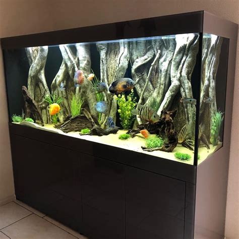 Aquarium Achterwand Rainforest Module Aquaria Van Wolferen