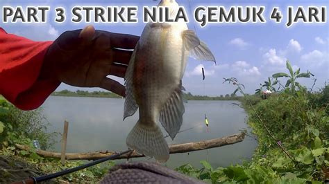 Mancing Ikan Nila Gemuk Gemuk Part 3 Youtube