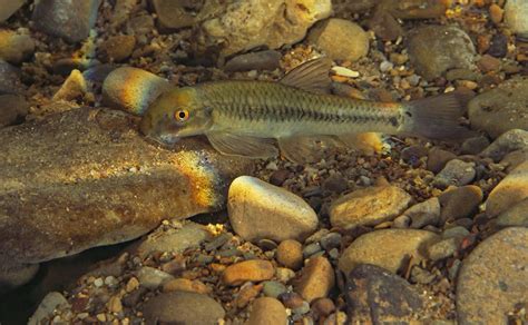 Hidden Life Teems In The Crystal Clear Water Below Too Our Torch Beams