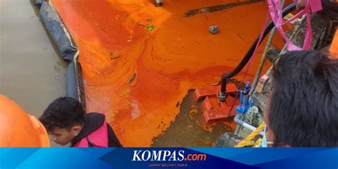 Tercemar Minyak Kelapa Sawit Air Sungai Mahakam Tak Bisa Dikonsumsi