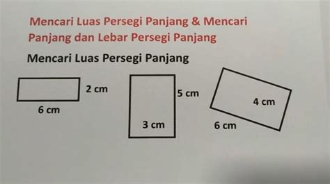 Rumus Persegi Panjang Beserta Contoh Soal