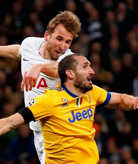 Juventus Star Giorgio Chiellini Taunts Tottenham After Champions League