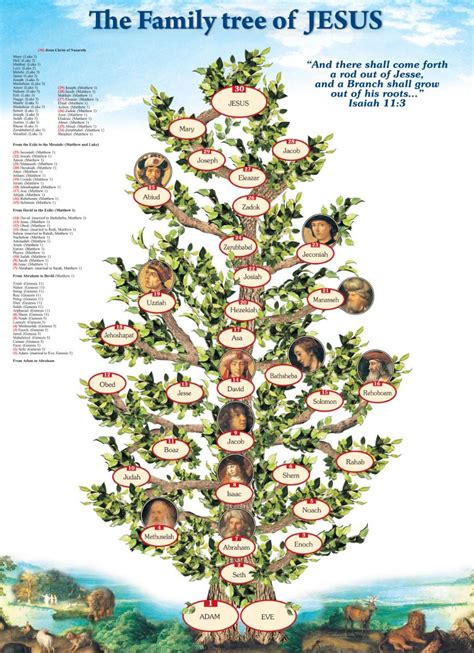 shop  family tree  jesus poster printed   holy land