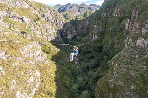 Cape Canopy Tour In The Elgin Valley An Award Winning Adventure Activity