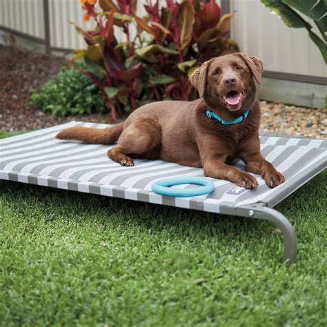 Outdoor Dog Beds | Weatherproof Small & Large Dog Beds | Kazoo Pet Co