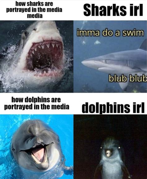 Imma Do A Swim Blub Blub Memes