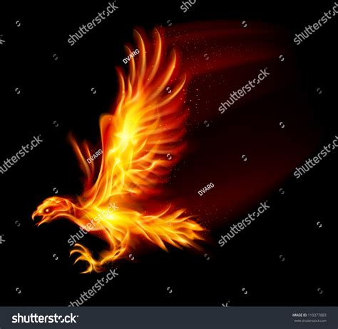 Flaming Hawk Illustration On Black Background Stock Vector (Royalty ...