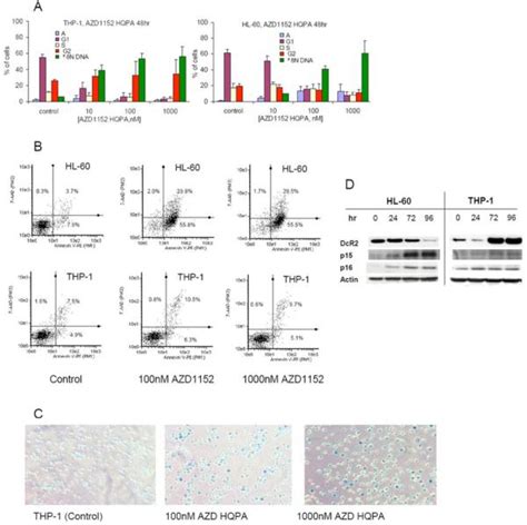 Azd1152 Rapidly And Negatively Affects The Growth And Survival Of Human