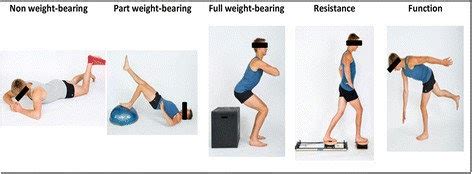 Exercises For Non Weight Bearing Patients - Exercise Poster