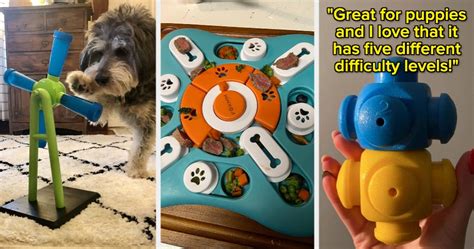 24 Best Dog Puzzle Toys To Challenge & Enrich Your Pup