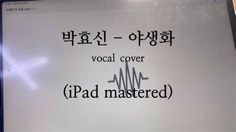 박효신 Park Hyo Shin 야생화 Wild Flower vocal cover YouTube