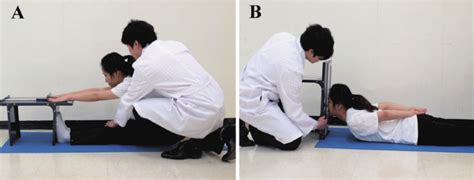 Tests For Lumar Flexibilities A And B Represent Trunk Flexion And Download Scientific Diagram