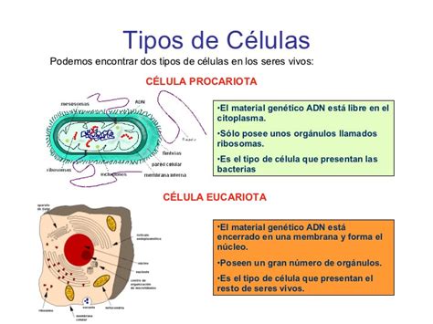 RECURSOS