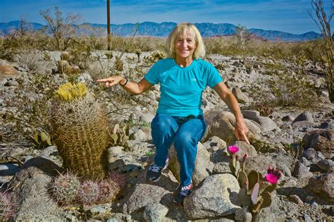 Rock Art Of Southern California Baja California And Beyond To The