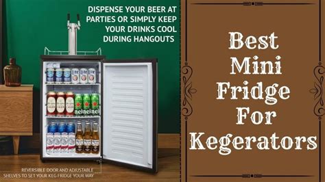 Best Mini Fridge For Kegerators Wine Storage Expert