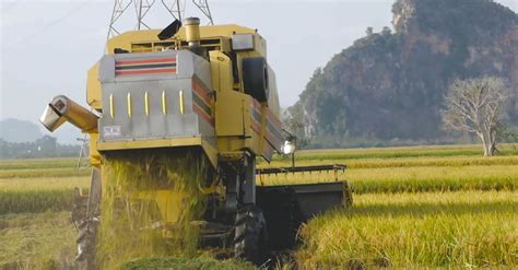 Vídeo Profissional Gratuito De Agrícola Agricultura Agronegócio