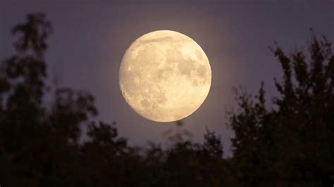 Here's when you can see fall's Harvest Supermoon | FOX 35 Orlando