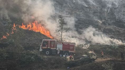 Portugal combate grande incêndio florestal no centro do país Canal